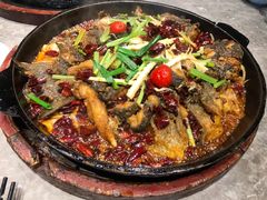 -老板恋上鱼(恒隆广场店)