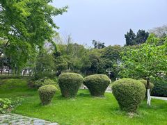 -东湖听涛景区