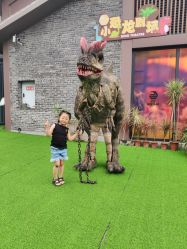 -恐龙探索乐园(磁器口店)