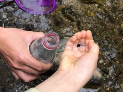 -碓臼峪自然风景区