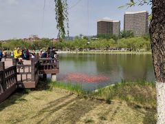 -西海子公园