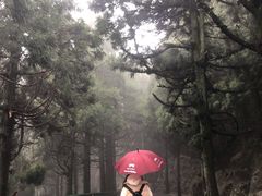 -南岳衡山风景名胜区