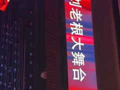 -泰安刘老根大舞台