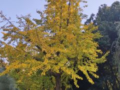 -苏州河梦清园环保主题公园