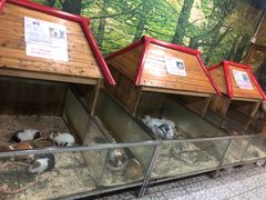 -上海大自然野生昆虫馆(东方明珠·爬宠昆虫探索中心)