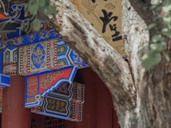 -罔极寺