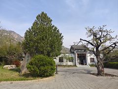 -北京凤凰岭