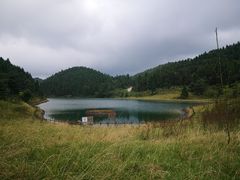 -武陵山森林公园