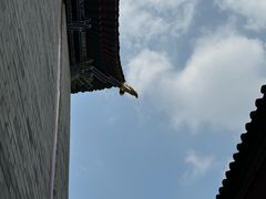 -西安市广仁寺