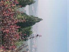-涂山风景区