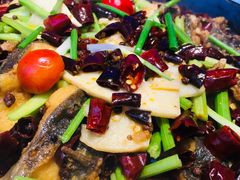 -老板恋上鱼(恒隆广场店)