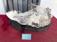 -房山世界地质公园博物馆