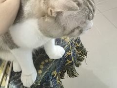 -平行世界·猫咖(首经贸店)