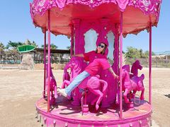 -秦皇岛乐岛海洋王国