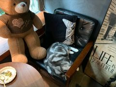 -咖法森林·咖啡  酒吧(天河店)