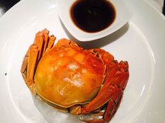 -同庆楼(花园店)