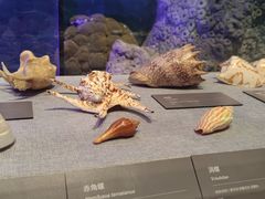 -中国（海南）南海博物馆