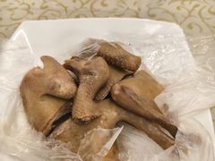 -百利鸽王(紫薇路店)