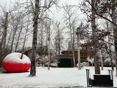 -禧宴Joyous Restaurant(禧园店)