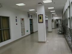 -上海中医药大学附属曙光医院(东部)