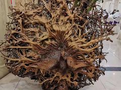 -普天和酒楼·天津菜·烤鸭(天津之眼店)