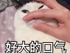 -上海市中医文献馆