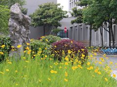 -上海大学(宝山校区)
