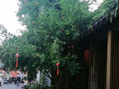 -鲤院·新中式美学·庭院餐厅(夫子庙店)