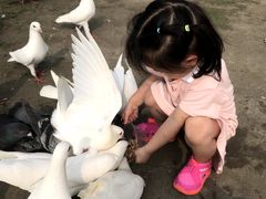 -秀丽东方