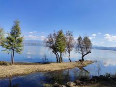 -洱海月湿地公园