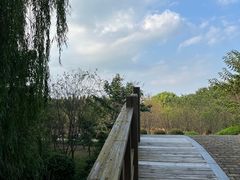 -同里国家湿地公园