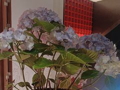 -阿伟海鲜楼·福建菜(延寿店)