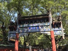 -北京国子监胡同