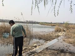 -绿堤公园