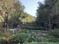 -常德桃花源景区