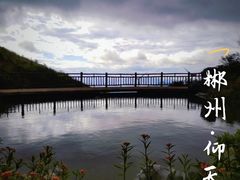 -仰天湖大草原