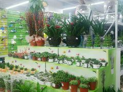 -华润苏果(晓庄国际商业广场店)