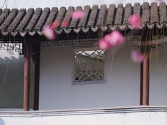 -秋霞圃