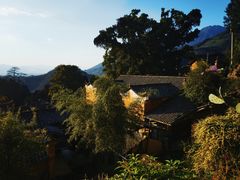-杨家堂村