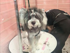 -FAELING PETS美天灵宠物(合生汇店)