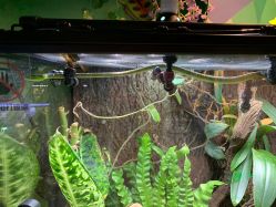 -酷嗒动物文化乐园(cutezoo西溪乐天城店)