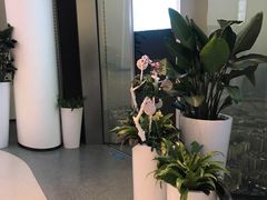 -平安金融中心云际观光层