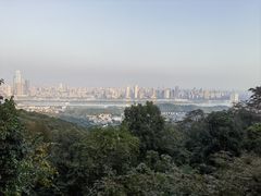 -岳麓山风景名胜区