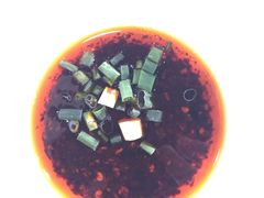 -天一沾水肥肠(科园一街店)