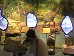 -陕西自然博物馆