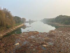 -苏州太湖国家湿地公园