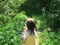 -白水寺森林公园