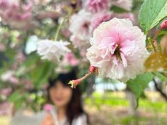 -济南国际园博园