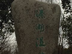 -溱湖国家湿地公园