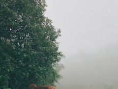 -重庆雨台山风景区